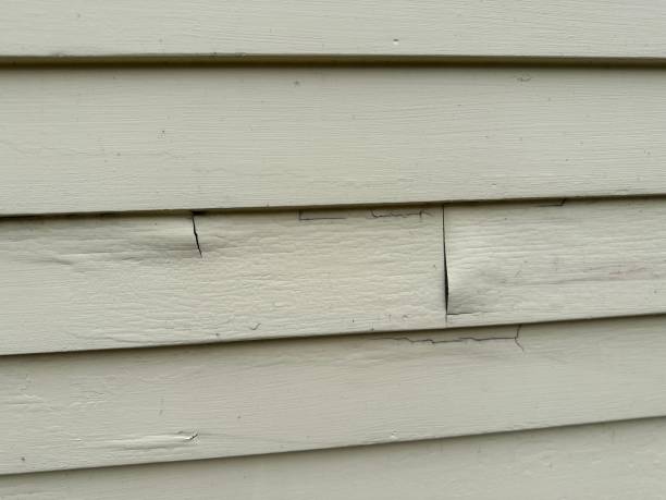 Best Wood Siding Installation  in Cactus, TX