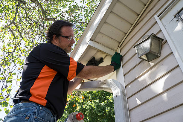 Best Stone Veneer Siding  in Cactus, TX